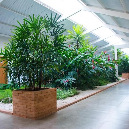 Hotel Vila Verde Penápolis 外观 照片