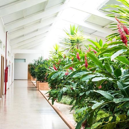 Hotel Vila Verde Penápolis 外观 照片
